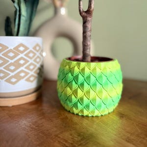 Può includere: Un vaso per piante rotondo caratterizzato da un motivo testurizzato a scaglie in una sfumatura di verde lime brillante e giallo. La superficie esterna è composta da forme geometriche ripetute e sovrapposte con effetto tridimensionale.