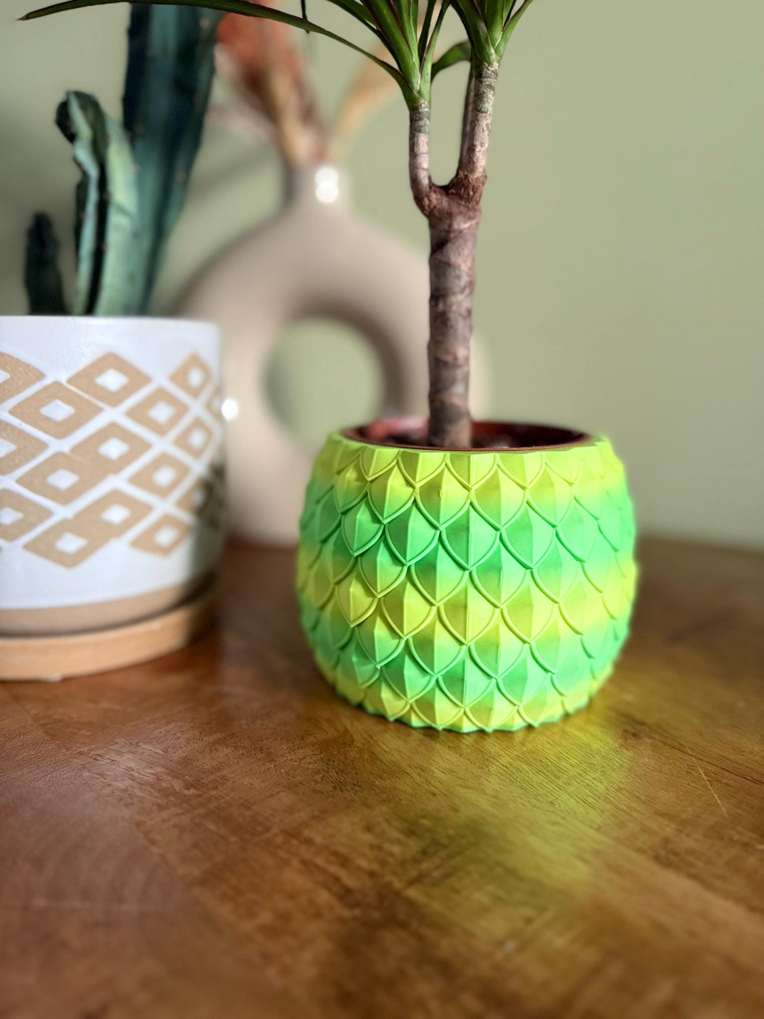 Dragon Egg Planter - Etsy