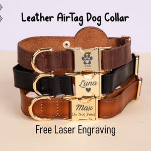 Engraved Leather AirTag Dog Collar: Personalized Custom Pet Collar