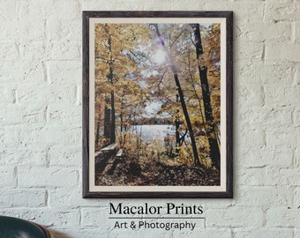 Printable Fall Lake Foliage Picnic Wall Art Print | Digital Download | Cottage Art Prints | Lake House Home Decor | Nature Photo Artwork