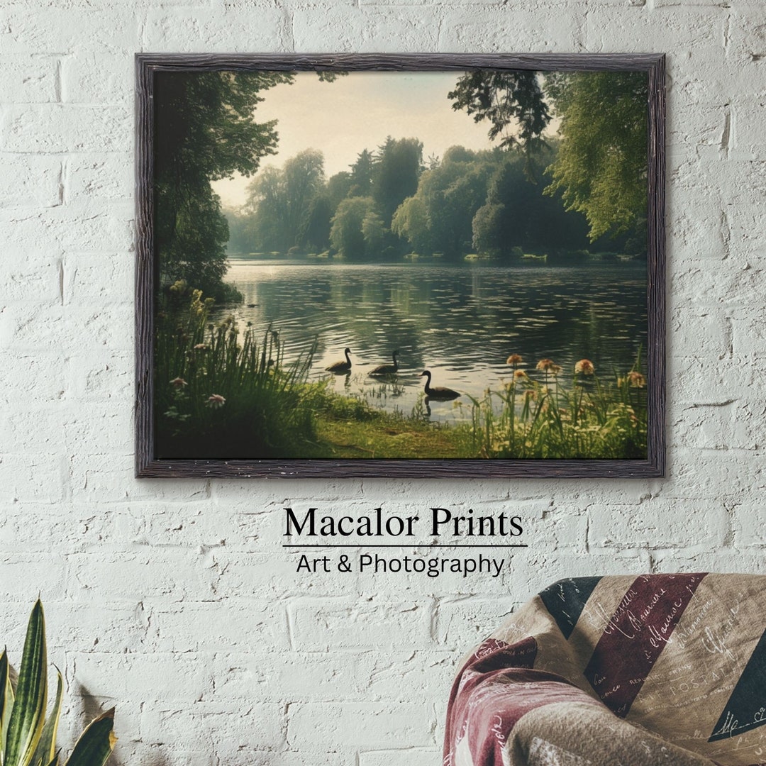 Printable Misty Lake Ducks Landscape Wall Art Print | Digital Download ...