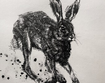 Original Calligraphy Pen & Ink Drawing of a Norfolk Hare ~ Fine Art ~ Wildlife Portrait ~ Framed Wall Art ~ by Eleanor Stamp Fine Artist