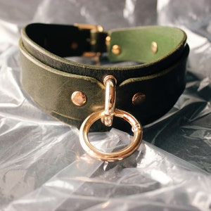 Green leather collar with gold hardware. Front view