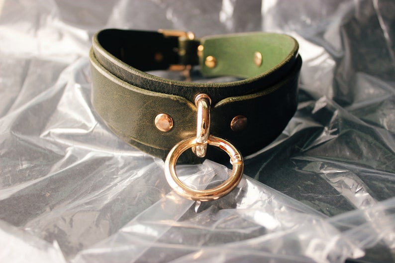 Green leather collar with gold hardware. Front view