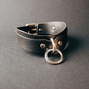 Black leather collar with silver colored hardware. Close-up view of the front.