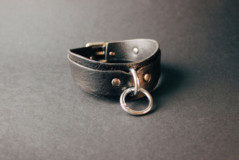 Black leather collar with silver colored hardware. Close-up view of the front.