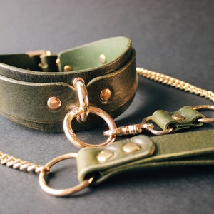 Green collar with gold chain leash, close-up front view