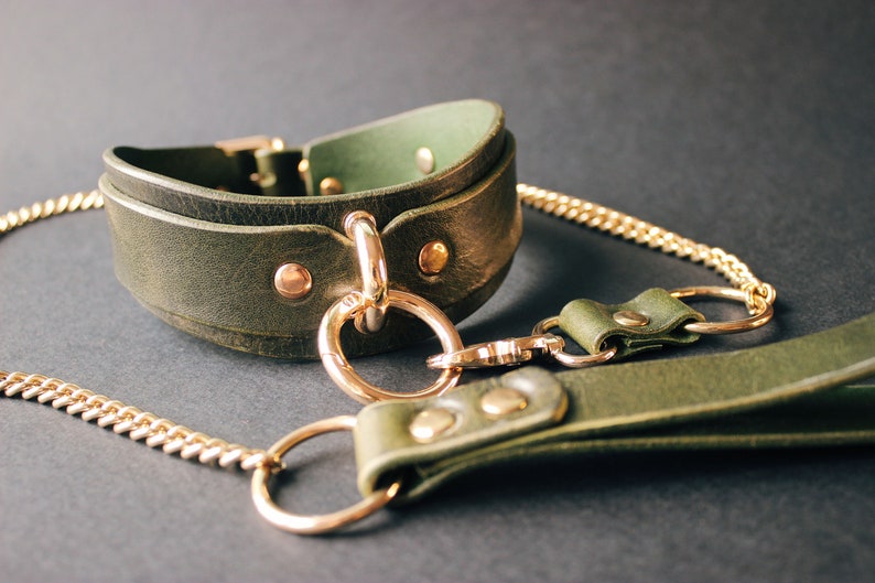 Green collar with gold chain leash, close-up front view