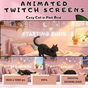 Set di schermate animate di Twitch: Gatto nero accogliente nella stanza rosa (download digitale MP4)
