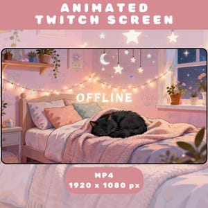Animerad Twitch offline-skärm: Mysig svart katt i rosa rum (MP4 digital nedladdning)