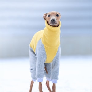 Clothes for italian greyhounds - Yellow and grey fleece jumpsuit for italian greyhounds
