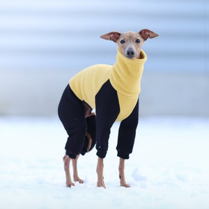 Clothes for italian greyhounds - Yellow and black fleece-sweatshirt jumpsuit for italian greyhounds