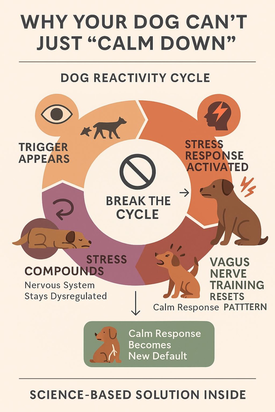 Reactive Dog Training Guide Vagus Nerve Calming System (PDF) Etsy