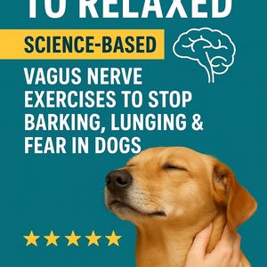 May include: A digital ebook cover featuring a golden retriever dog and the text "FROM REACTIVE TO RELAXED". The cover also includes the text "SCIENCE-BASED", "VAGUS NERVE EXERCISES TO STOP BARKING, LUNGING & FEAR IN DOGS", and five gold stars.