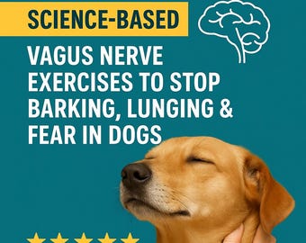 Reactive Dog Training Guide: Vagus Nerve Calming System (PDF)