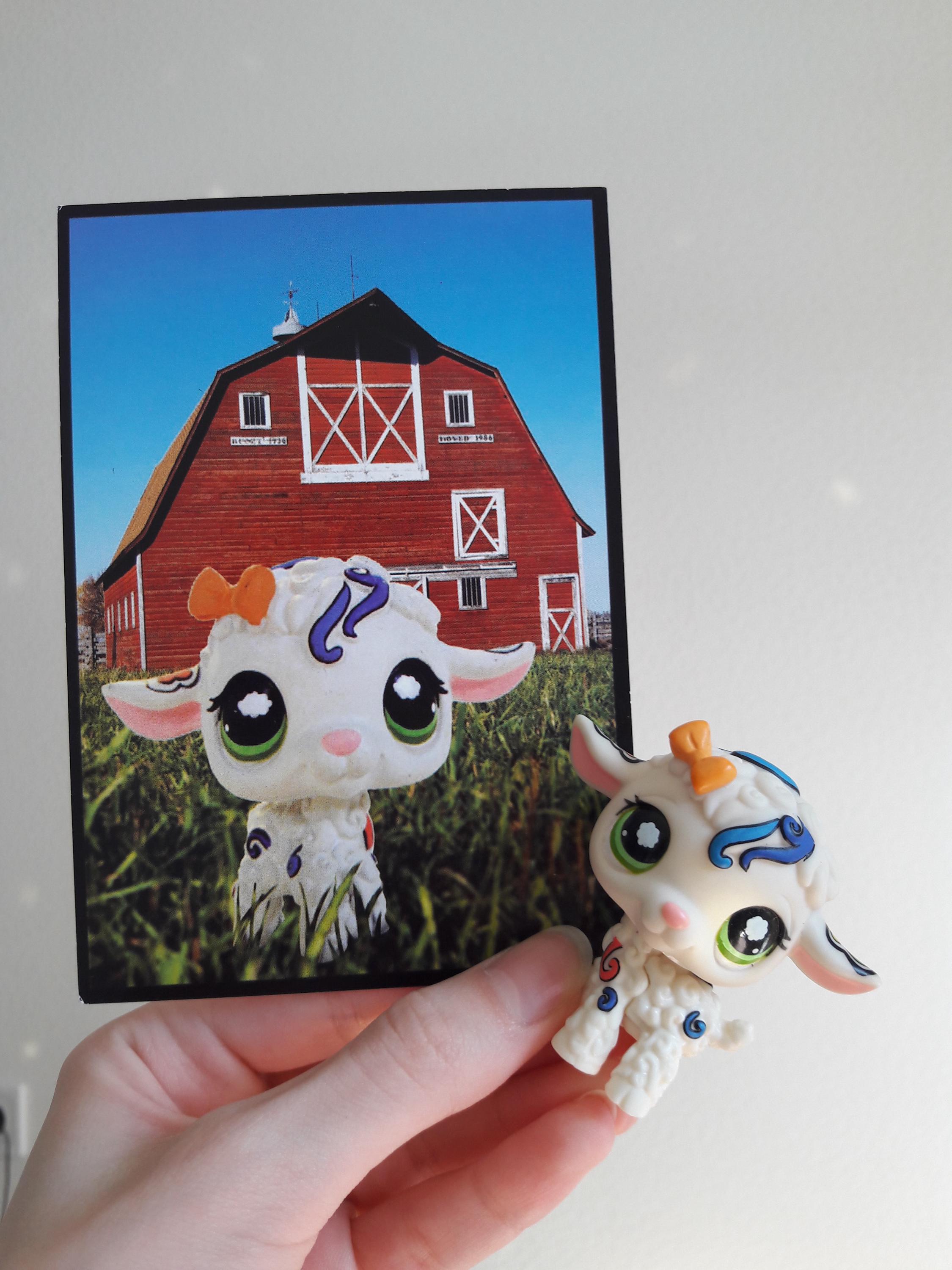 Lot 5 NEUF LPS LITTLEST PETSHOP ORIGINAL AUTHENTIC HASBRO Boîte New
