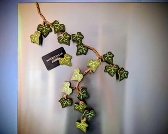 May include: A decorative wall magnet set shaped like a trailing ivy vine with a brown stem and multiple green leaves featuring light green vein details. A small black rectangular card with the white text INTERSTELLAR DESIGN is attached.
