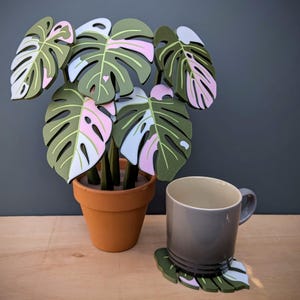 Monstera Albo Coasters - Magnetic house plant coaster set