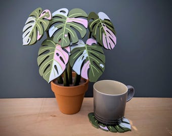 Monstera Albo Coasters - Magnetic house plant coaster set