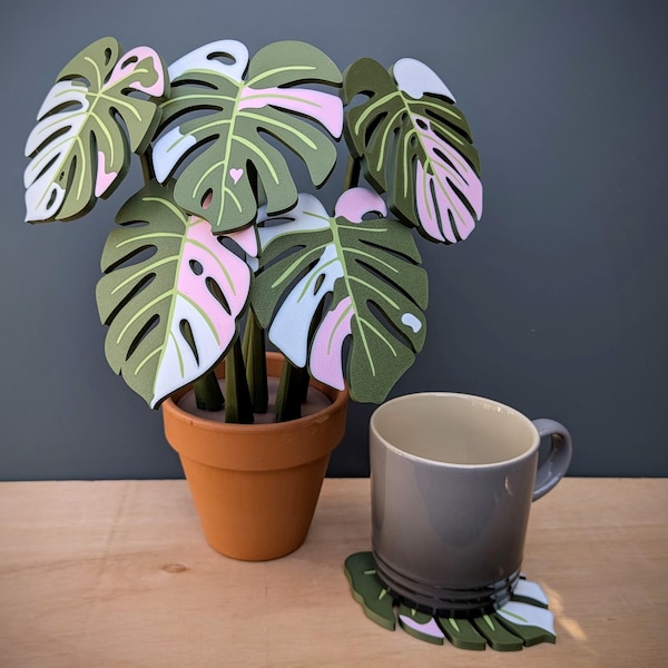 Monstera Albo Coasters - Magnetic house plant coaster set