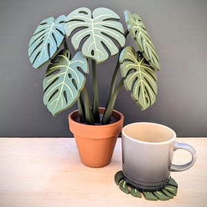 Monstera Plant Coasters - Magnetic house plant coaster set