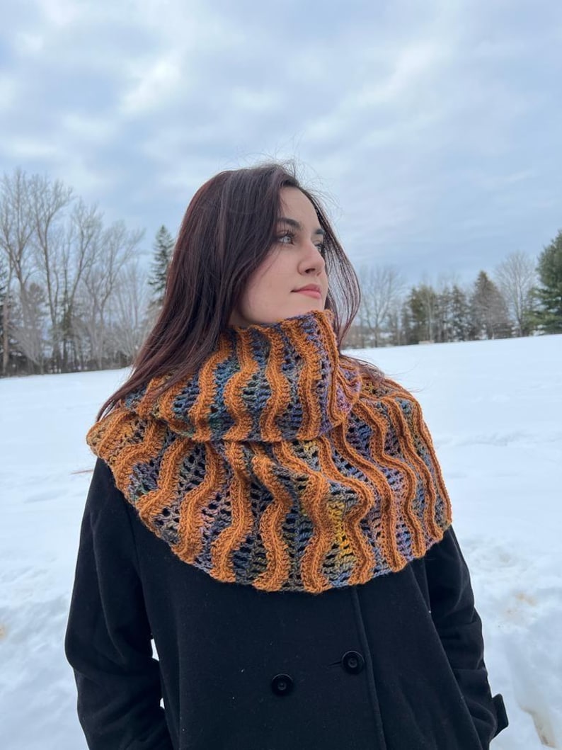Pu&ograve; includere: Una donna indossa una sciarpa a collo a lupetto di colore marrone e blu in un paesaggio innevato.