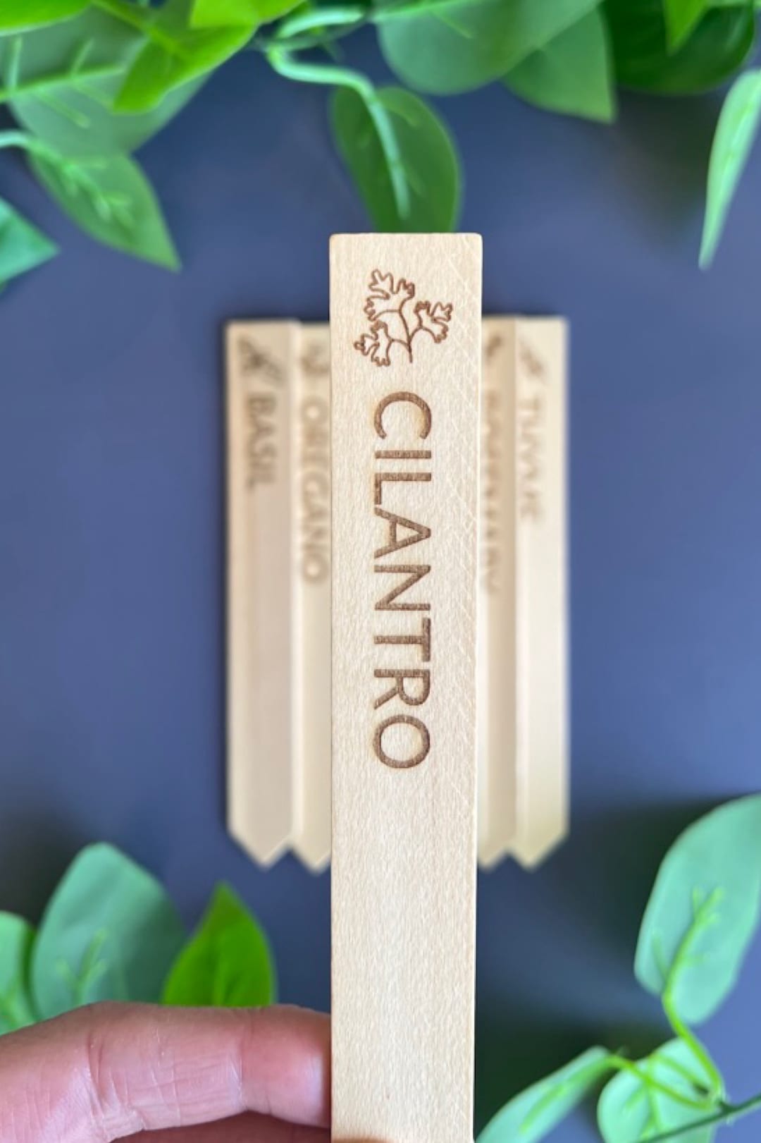 Laser Engraved Cilantro Wooden Garden Stake: Herb Plant Label - Etsy