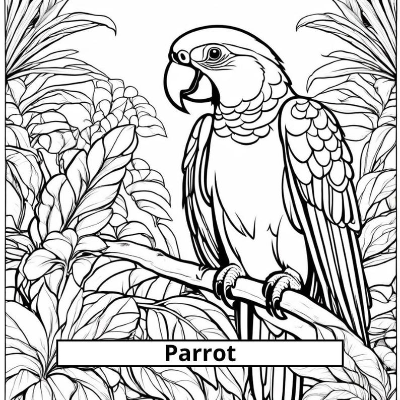 Domestic Animals Coloring Pages - Etsy