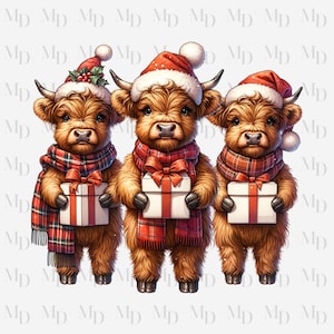 Three Christmas Highland Cows PNG, Girl, Instant Download, Digital, Christmas Design, Cow