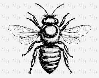Black Outline Bee PNG, Sublimation, Clipart,, Instant Download, Personal Or Commercial Use, 300Dpi,Bee Design