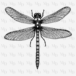 Black Outline Dragonfly PNG, Sublimation, Clipart,, Instant Download, Personal Or Commercial Use, 300Dpi, Dragonfly Design