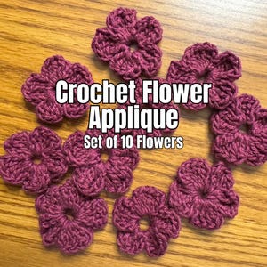 Set van 10 gehaakte bloemenappliqués, bloemenappliqué, klaar voor naaien en lijmen, scrapbooking, versieringen, versiering en kaarten maken, motiefset