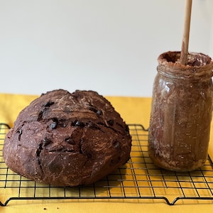 Chocolate Dutch/Wales Sourdough Starter Live Ready to Bake or Dehydrate image 2