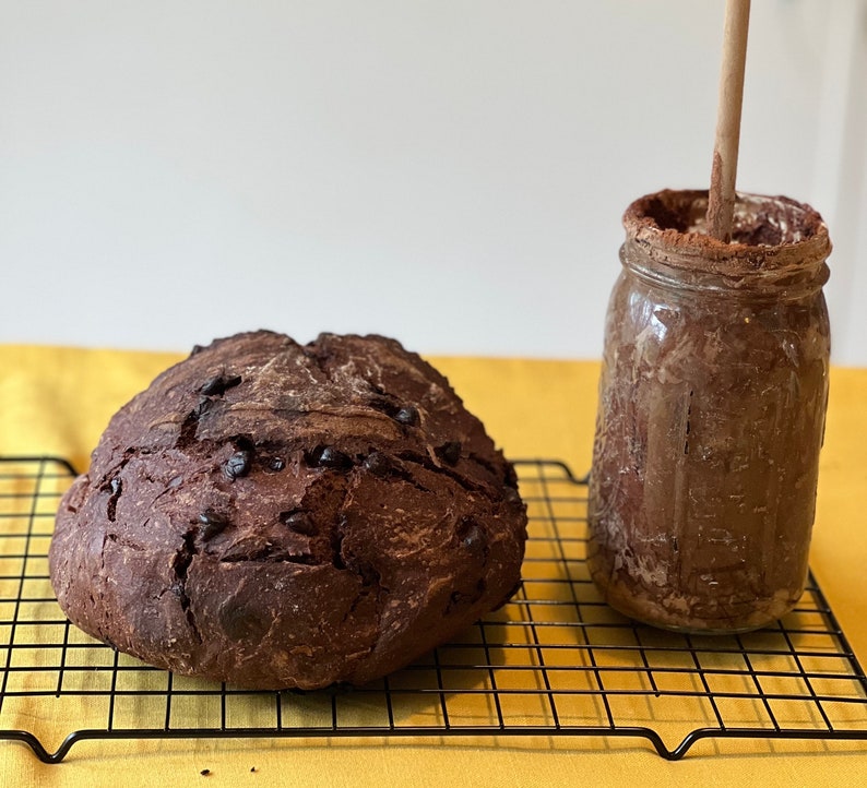 Chocolate Dutch/Wales Sourdough Starter Live Ready to Bake or Dehydrate image 2