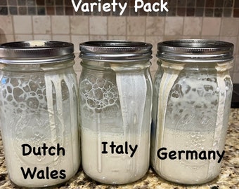 Old World Dehydrated Sourdough Starters From Around the World! Variety Pack: Dutch/Wales, German and Italian