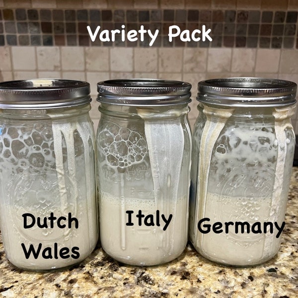 Old World Dehydrated Sourdough Starters From Around the World! Variety Pack: Dutch/Wales, German and Italian