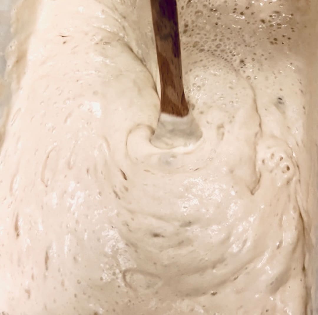 5000 Year Old Red Sea Egyptian Sourdough Starter Live Ready to Bake Sourdough Bread Etsy