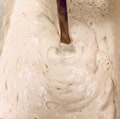 5000+ Year Old Red Sea Egyptian Sourdough Starter Live Ready to Bake or Dehydrated Bake Your Own Sourdough Bread!