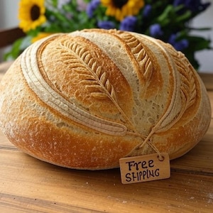 236+ yr. Old Dehydrated Live French Sourdough Starter Fast Activation!  FREE SHIPPING
