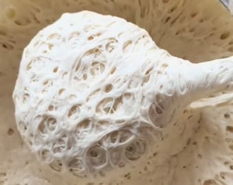May include: Close-up of a white dough with a web-like texture. The dough is being lifted with a spoon, revealing its airy and elastic consistency.