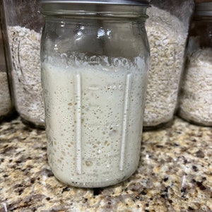 Pu&ograve; includere: Un barattolo di vetro trasparente con un coperchio bianco riempito di un liquido bianco spumoso. Il barattolo ha delle marcature sul lato.