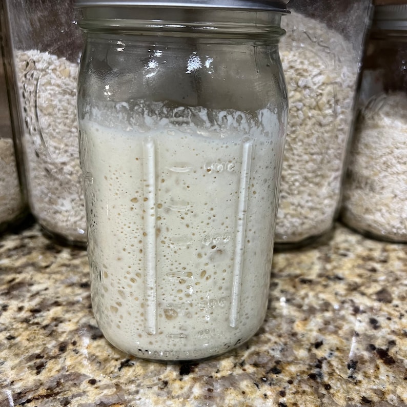 Pu&ograve; includere: Un barattolo di vetro trasparente con un coperchio bianco riempito di un liquido bianco spumoso. Il barattolo ha delle marcature sul lato.