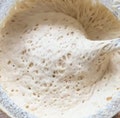 400+ Year Old German/Bavarian Sourdough Starter Live Ready to Bake or Dehydrated