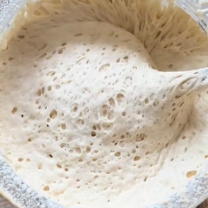 400+ Year Old German/Bavarian Sourdough Starter Live Ready to Bake or Dehydrated