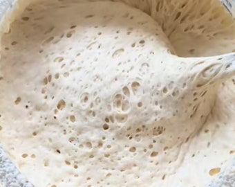 400+ Year Old German/Bavarian Sourdough Starter Live Ready to Bake or Dehydrated