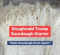 Doughnald Trump Sourdough Starter - Live Culture 900+ Year Old Dutch/Wales Origin