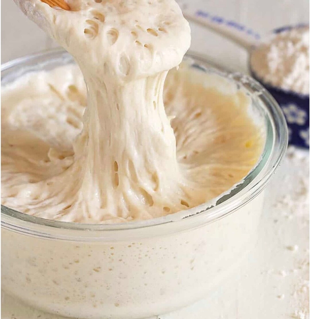 Welsh Starters Dutch/wales Sourdough Starter 1000+ Years Old Live Culture Ready to ...