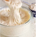 Dutch/Wales Sourdough Starter 1000+ years old Live Culture Ready to Bake or Dehydrated