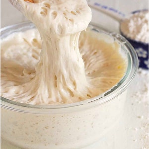 Pu&ograve; includere: Primo piano di una ciotola di vetro piena di lievito madre di pane bianco e spumoso. Il lievito madre viene sollevato dalla ciotola con un cucchiaio di legno, mostrando la sua consistenza elastica ed elastica.
