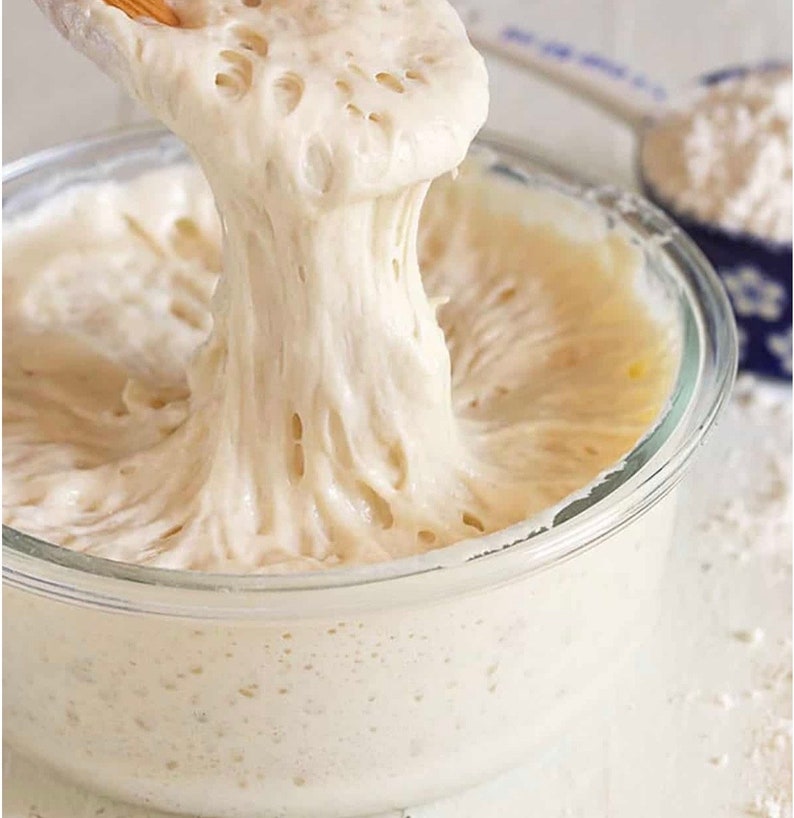 Pu&ograve; includere: Primo piano di una ciotola di vetro piena di lievito madre di pane bianco e spumoso. Il lievito madre viene sollevato dalla ciotola con un cucchiaio di legno, mostrando la sua consistenza elastica ed elastica.